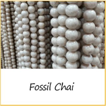 Fossil Chai