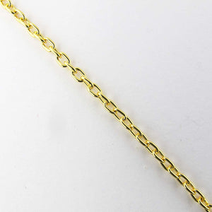 Metal chain 2.5x2mm oval gold ER 2metres
