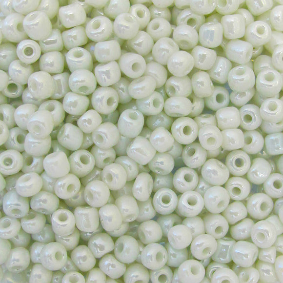 cg size 6 white lustre 50 gr