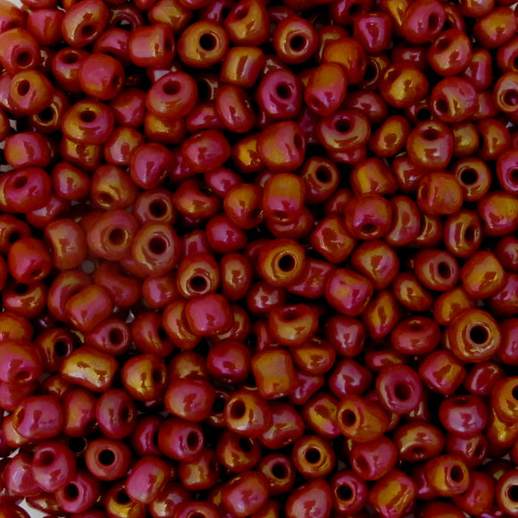 cg size 6 red AB 50 gr