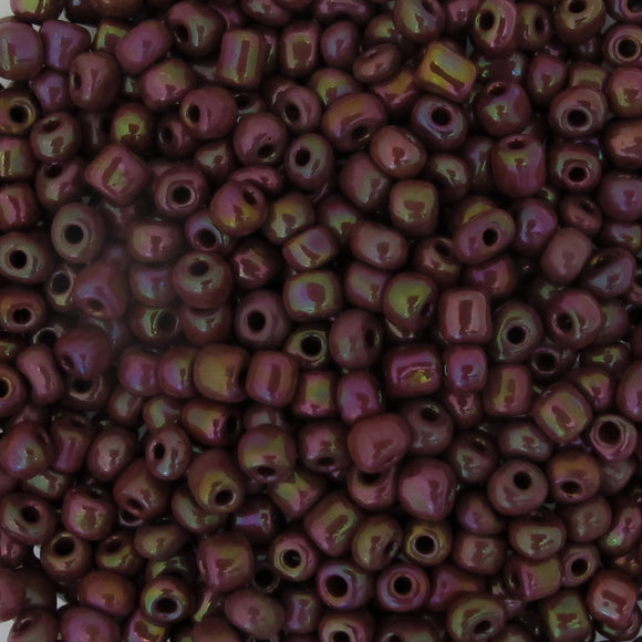 cg size 6 brown AB 50 gr