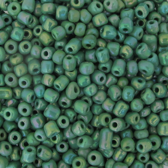 cg size 6 green AB 50 gr