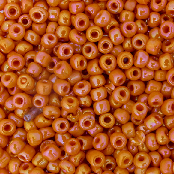 cg size 6 orange AB 50 gr