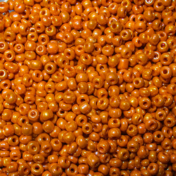 cg size 8 orange AB 50 gr