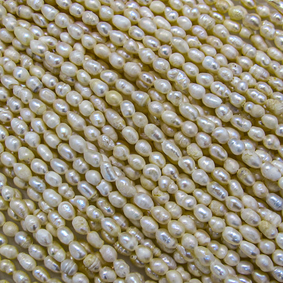 Long Ivory White Rice Oval Freshwater Pearls Beads for Jewellery Making