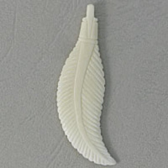 Bone 55x15mm feather white 4pcs